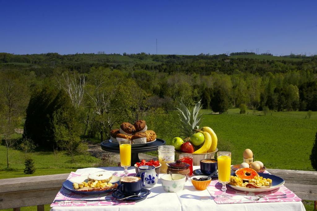 อาวล์ วัลเลย์ วิว เบด แอนด์ เบรคฟาสต์ Bed & Breakfast Hampton ภายนอก รูปภาพ
