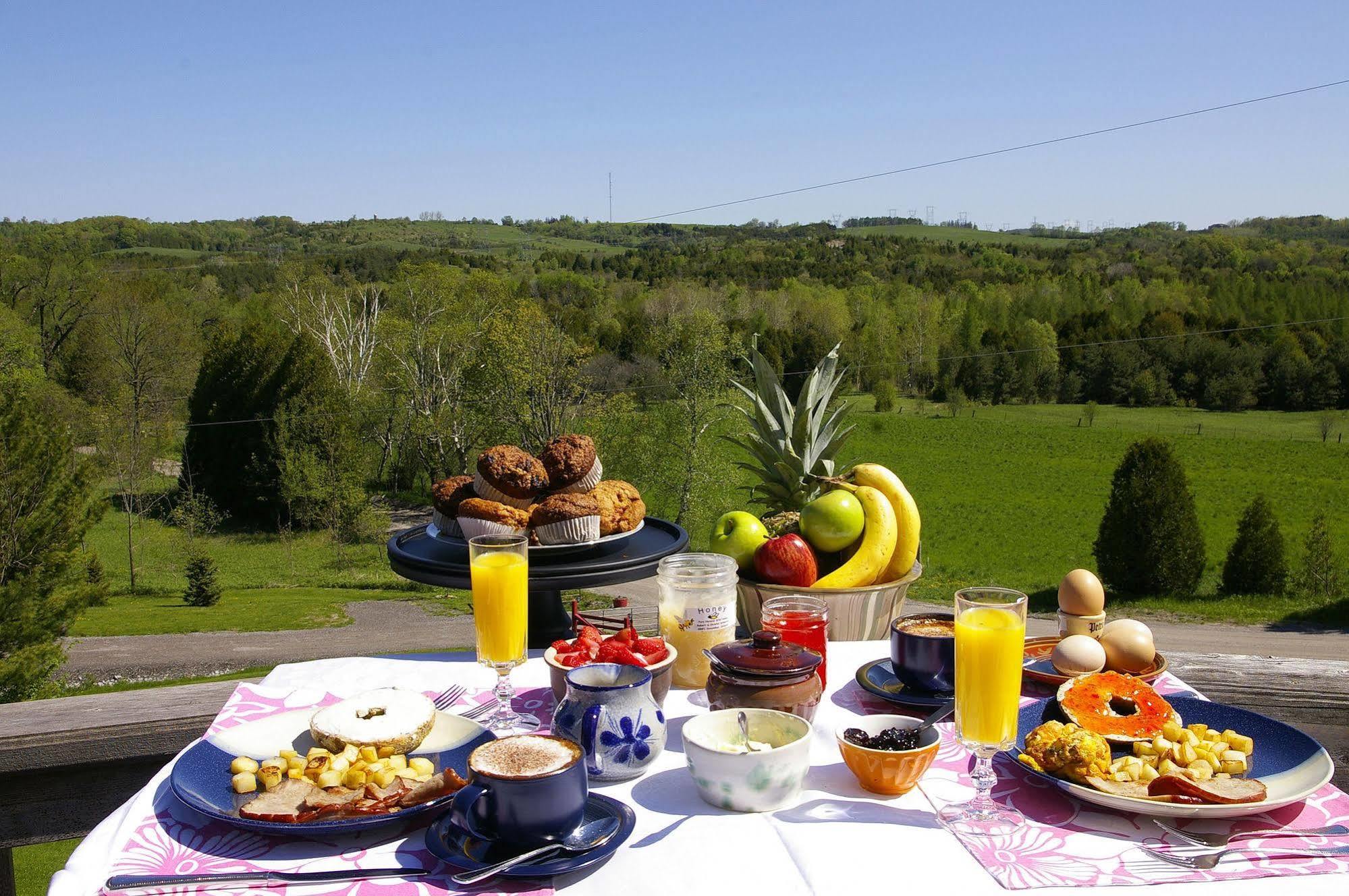 อาวล์ วัลเลย์ วิว เบด แอนด์ เบรคฟาสต์ Bed & Breakfast Hampton ภายนอก รูปภาพ