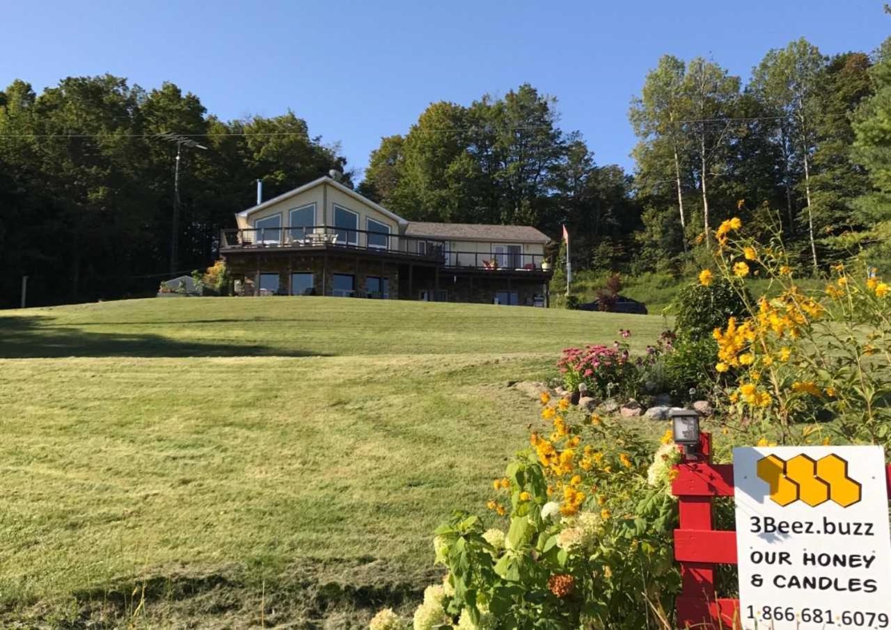อาวล์ วัลเลย์ วิว เบด แอนด์ เบรคฟาสต์ Bed & Breakfast Hampton ภายนอก รูปภาพ